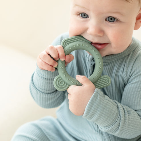 Frog Rattle Buddy Teether