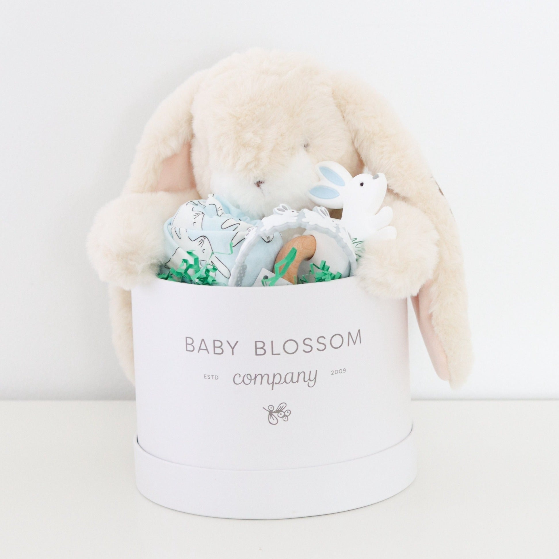 Boy Easter Bunny Gift Box - Baby Blossom Company