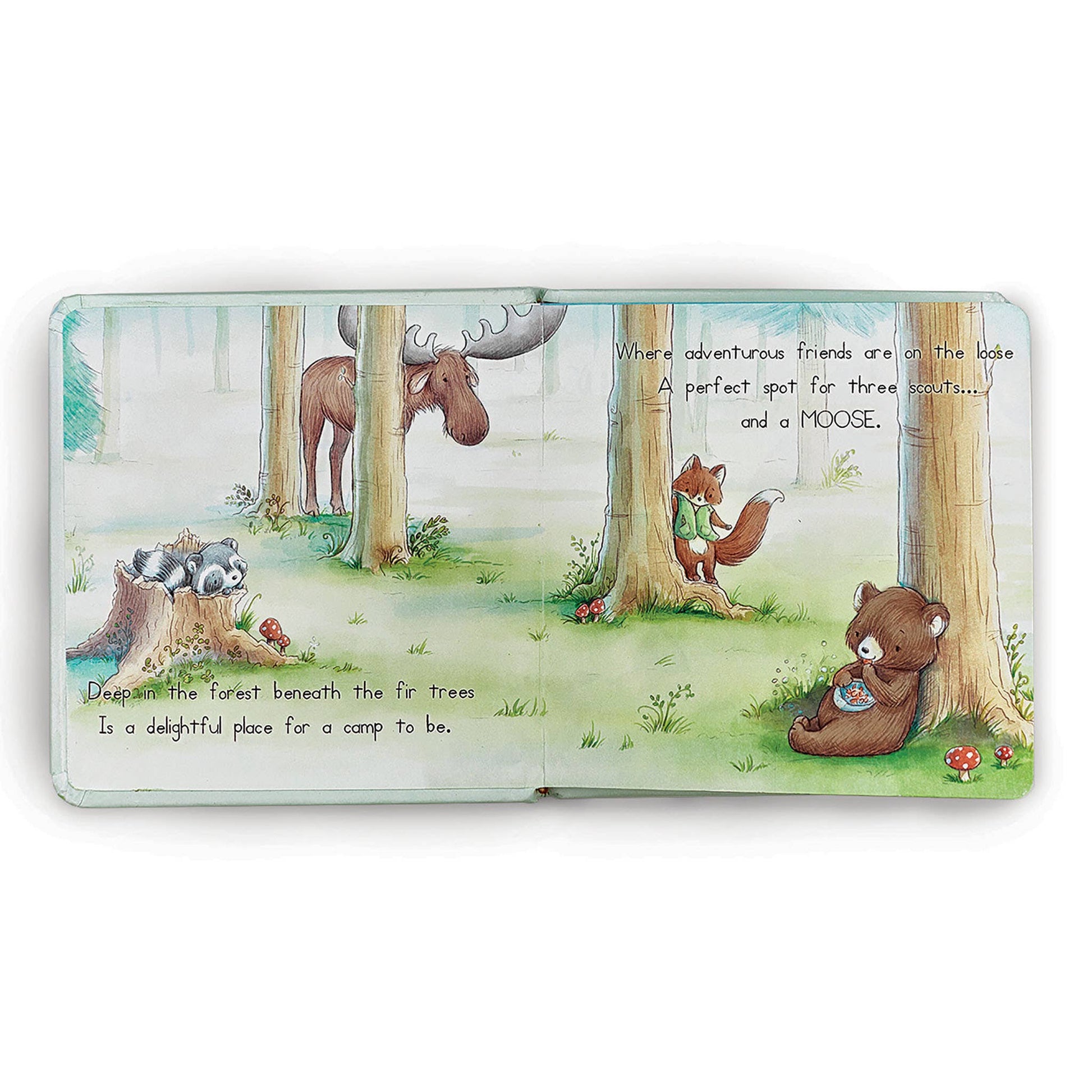 Camp Cricket Board Book - Baby Blossom Company