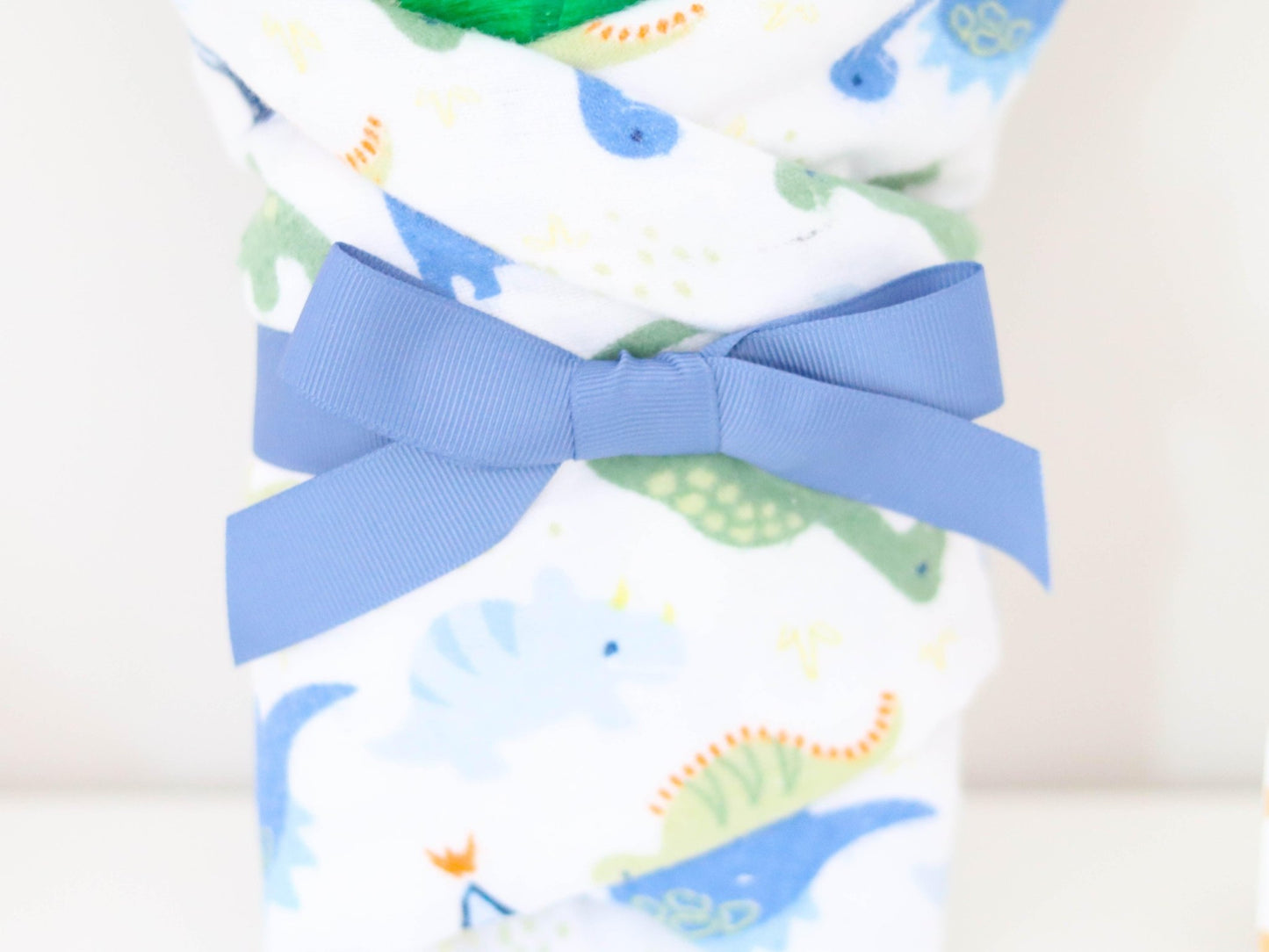 Dinosaur Baby Gift Set - Baby Blossom Company