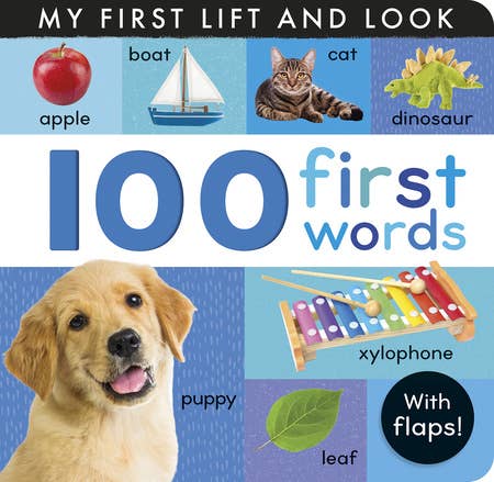 100 First Words Board Book