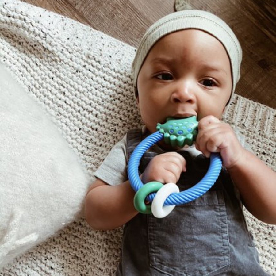 Ritzy Rattle™ Silicone Teether Rattles: Dino - Baby Blossom Company