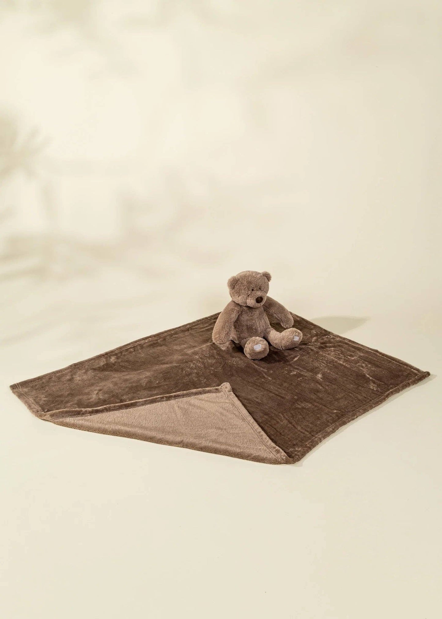 Bear Plush & Snuggling Blanket Set