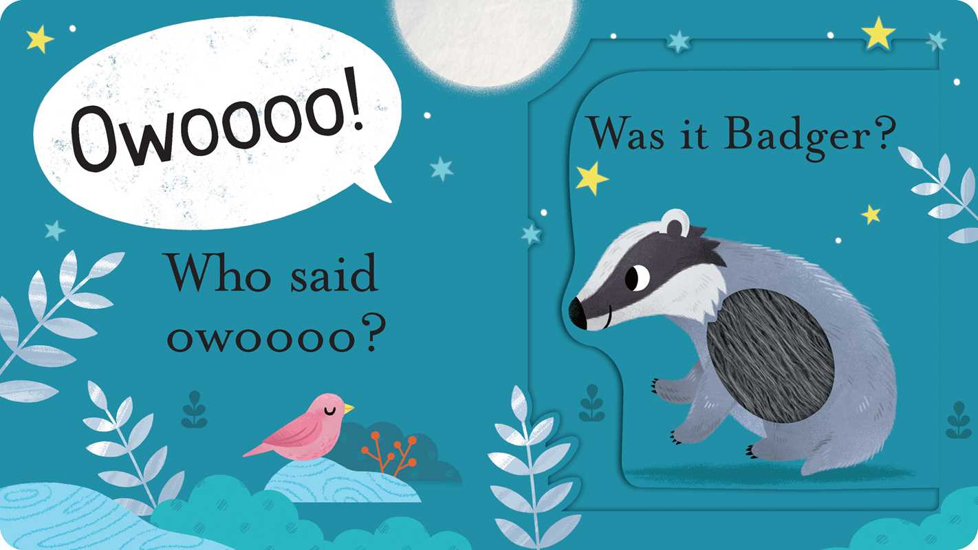 Who Said Hoot? Board Book