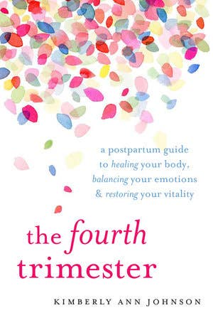 The Fourth Trimester Book