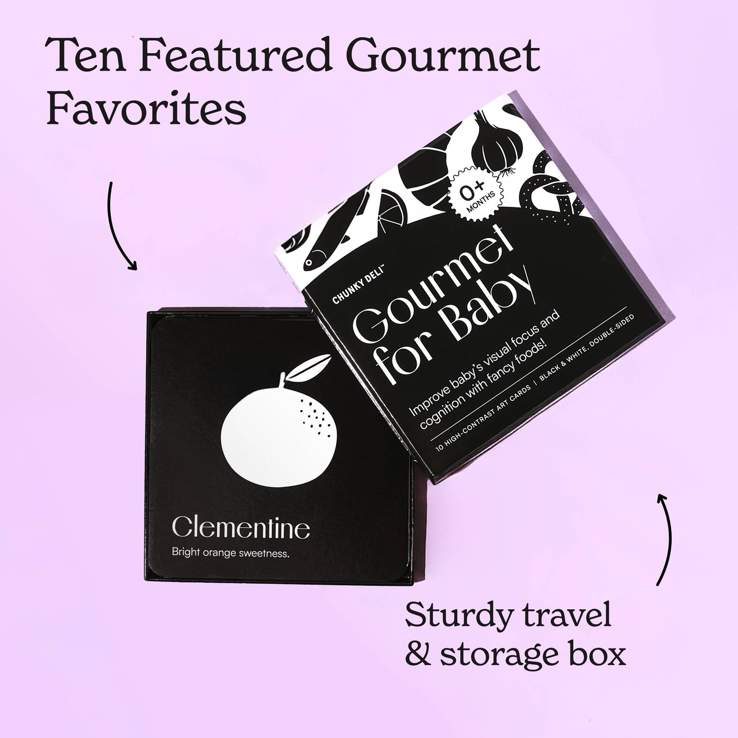 Gourmet for Baby - High Contrast Art Cards