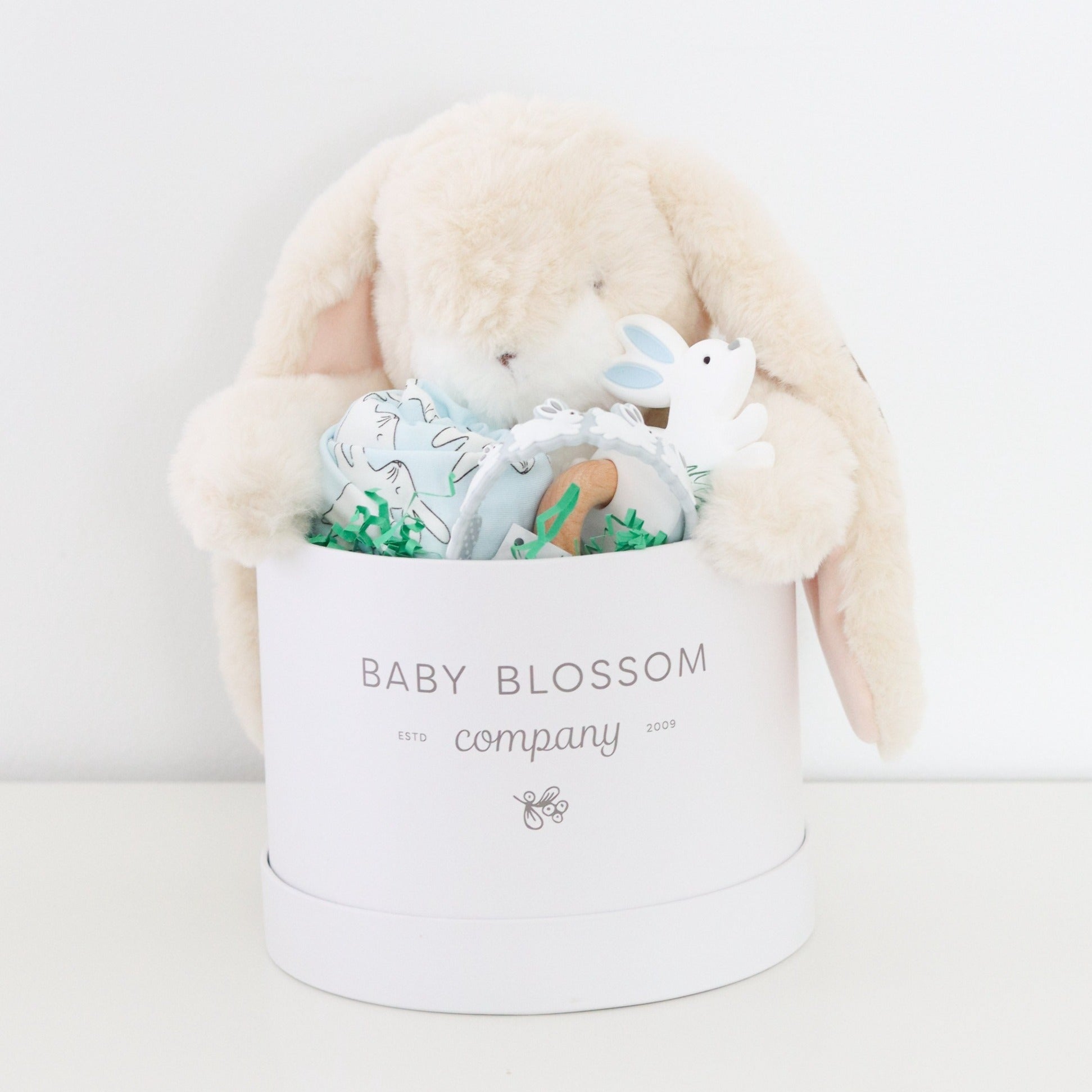 blue bunny easter baby gift box