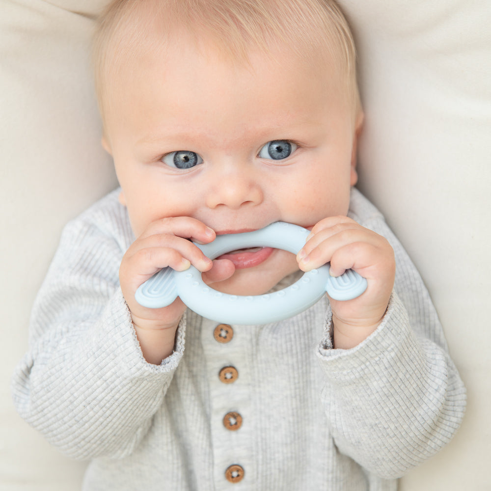 Dog Rattle Buddy Teether