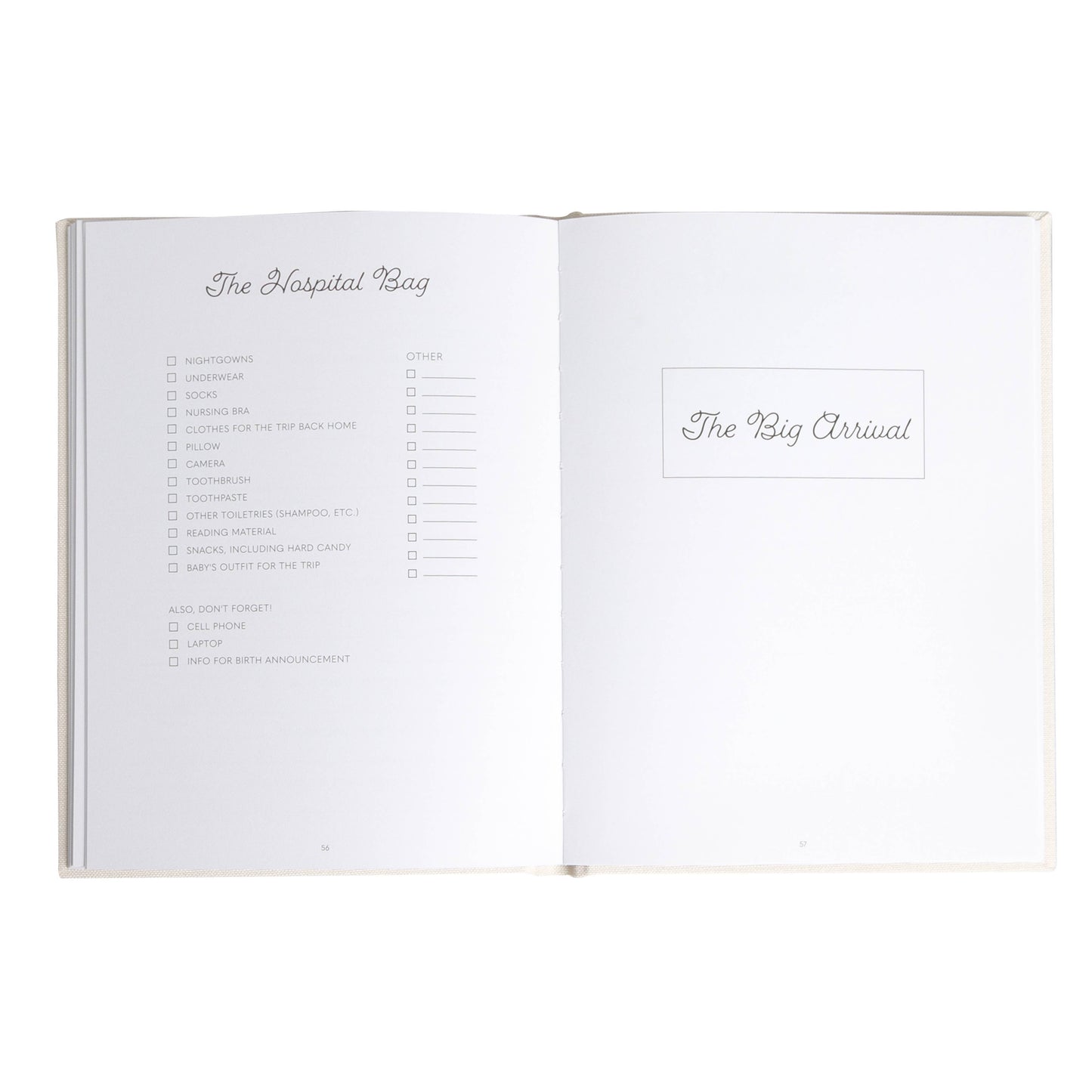 Linen Pregnancy Journal