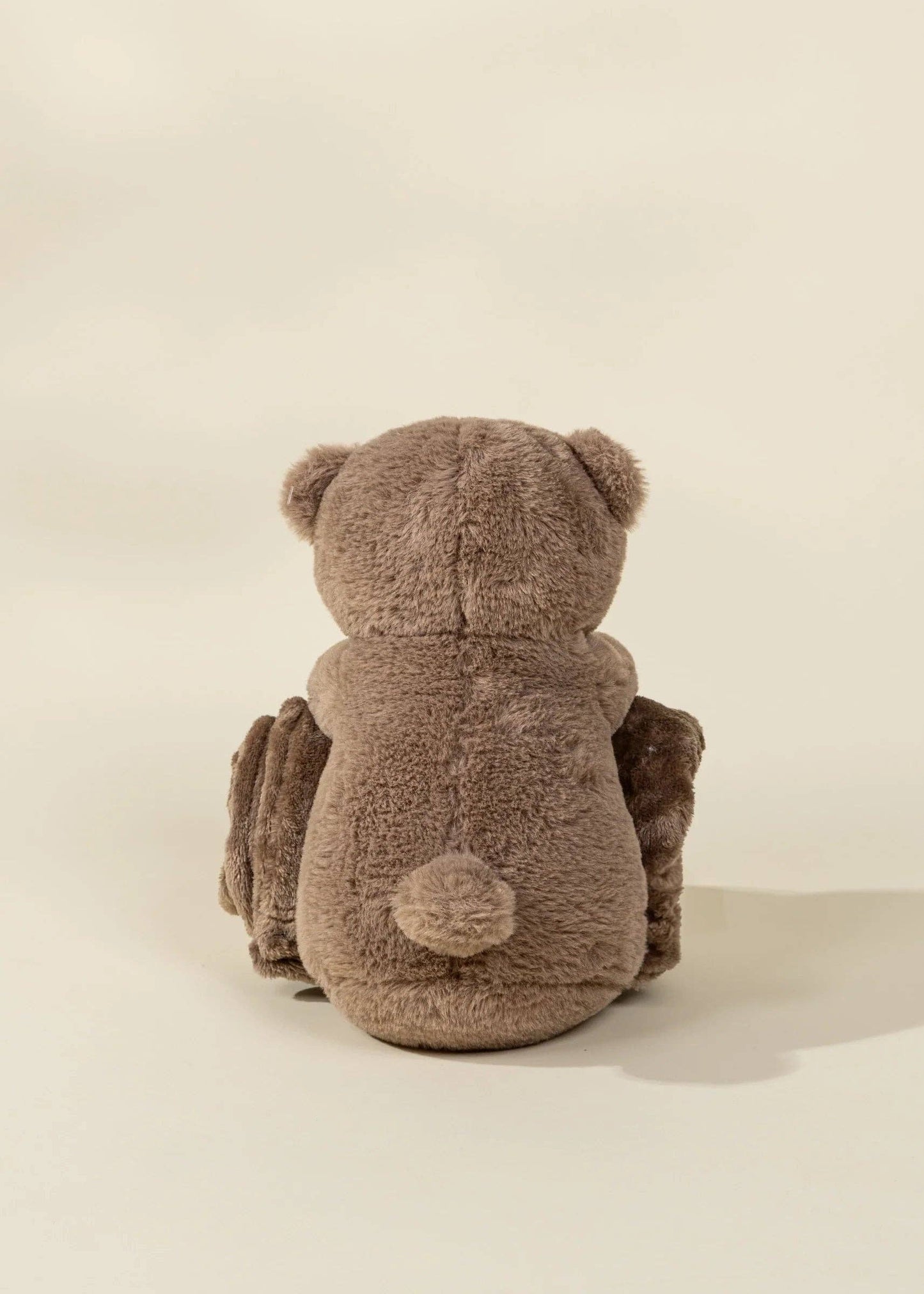Bear Plush & Snuggling Blanket Set