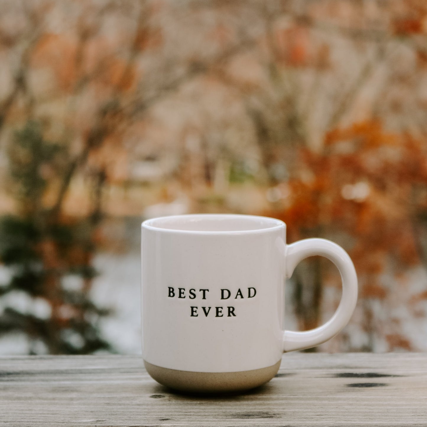 Best Dad Ever Mug - Baby Blossom Company