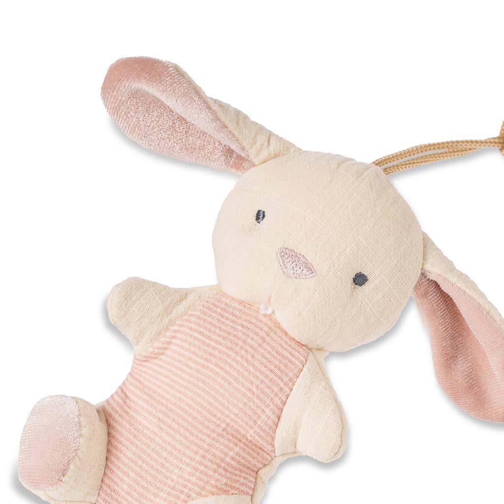Bitzy Pal Pacifier & Plush: Bunny