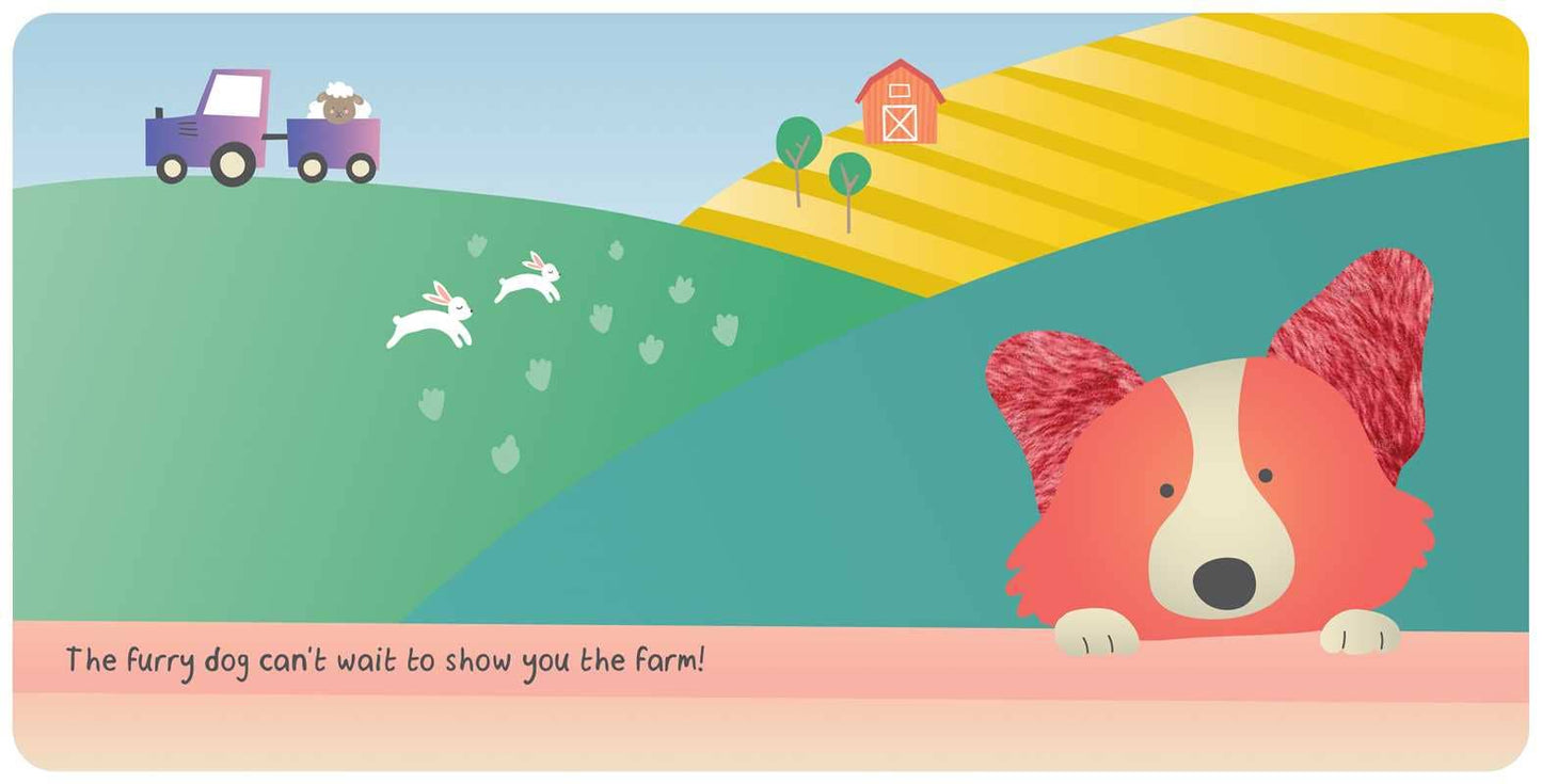 Farm Animals Touch & Feel Board Book