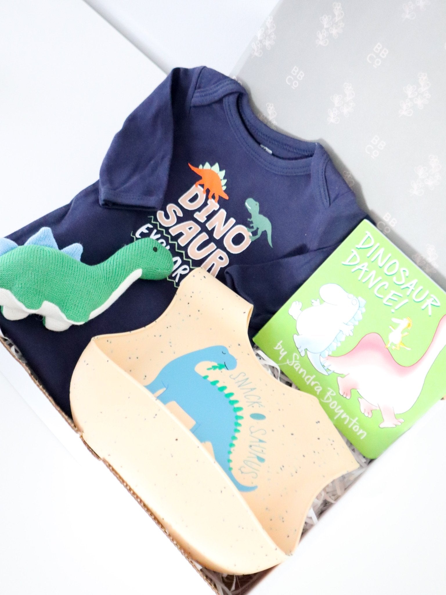 Dinosaur Baby Gift Box - Baby Blossom Company