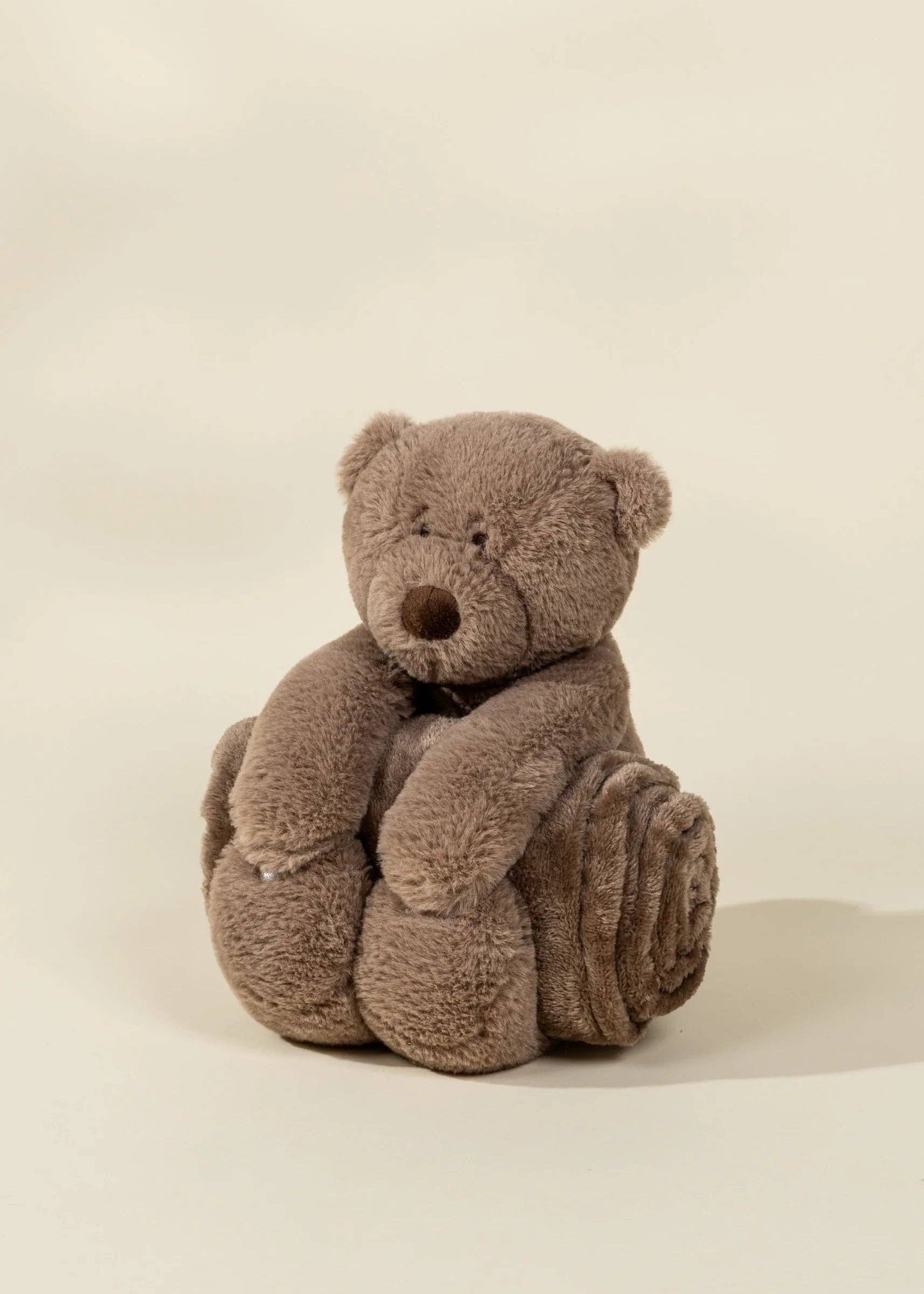 Bear Plush & Snuggling Blanket Set