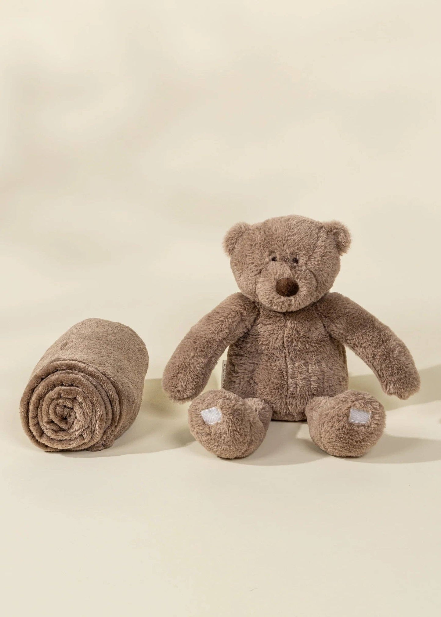 Bear Plush & Snuggling Blanket Set
