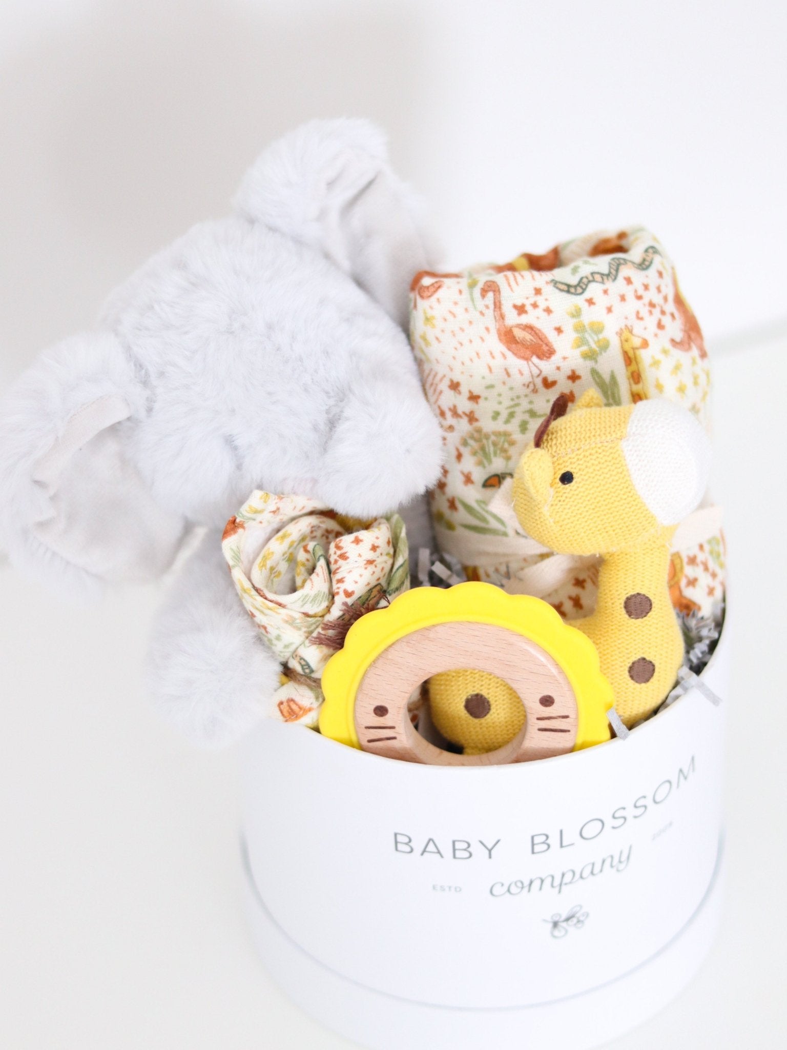 Safari Animals Baby Gift Box - Baby Blossom Company