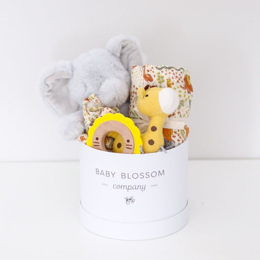 Safari Animals Baby Gift Box - Baby Blossom Company
