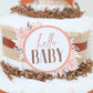 hello baby with feathers diaper cake sign